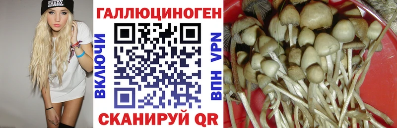 Псилоцибиновые грибы прущие грибы  закладка  Энем 